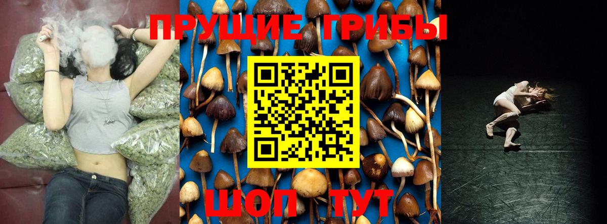 Галлюциногенные грибы GOLDEN TEACHER  Галлюциногенные грибы ЛСД  Вход с VPN  Москва 