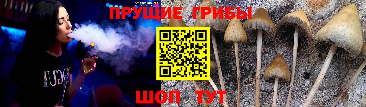 Галлюциногенные грибы прущие грибы Москва